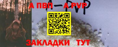 СК Шелехов