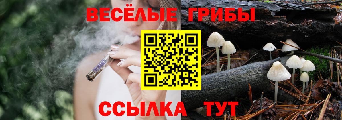 Галлюциногенные грибы GOLDEN TEACHER Сарапул