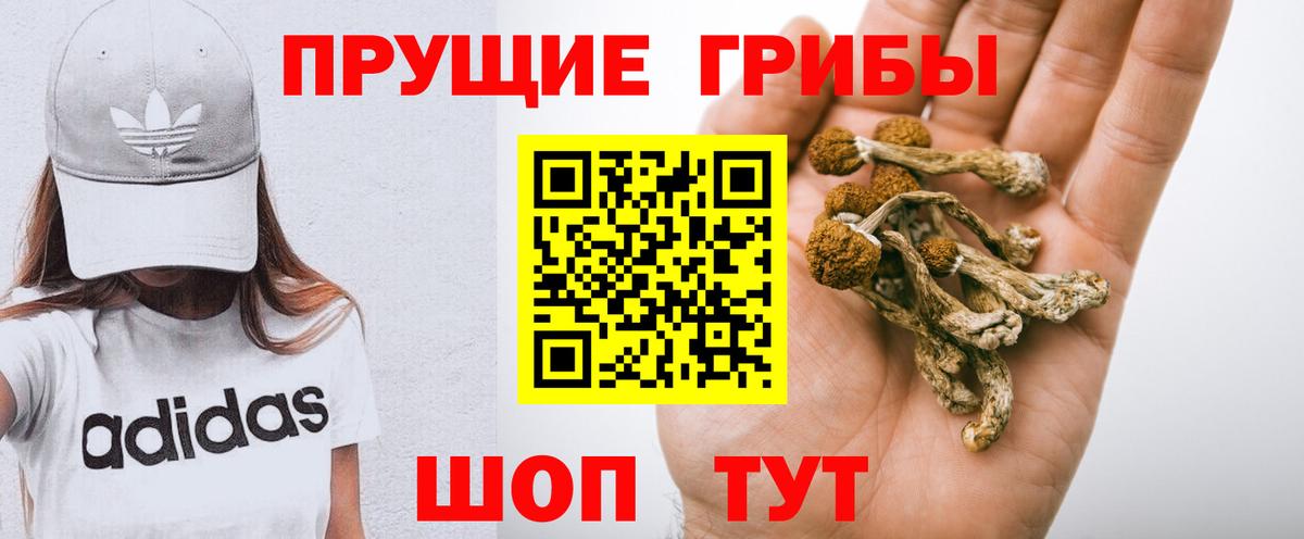 Псилоцибиновые грибы Magic Shrooms  Вход с VPN  Сарапул  Галлюциногенные грибы мицелий 